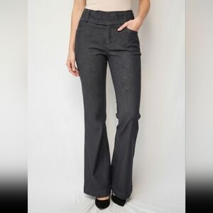 Banana Republic Dark Gray Flare Jeans  Asual Sizr 10